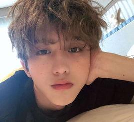 娱乐吃瓜鸭蔡徐坤,娱乐吃瓜界的“鸭王”崛起之路