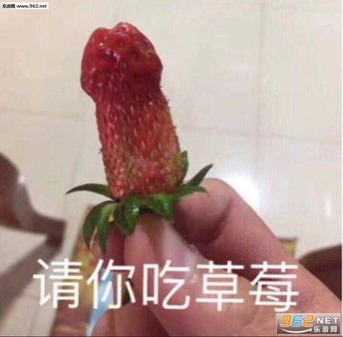 表情图吃瓜是什么意思啊